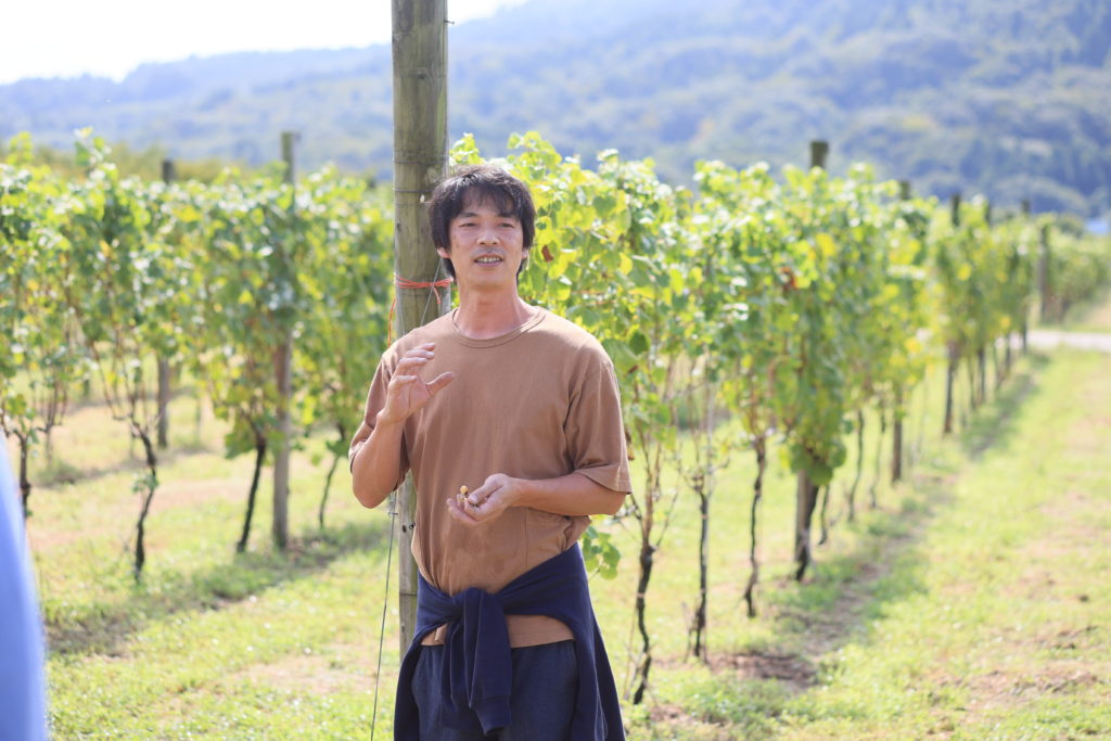 CAVE D'OCCI WINERY（Nīgata）